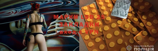 дурь Алзамай